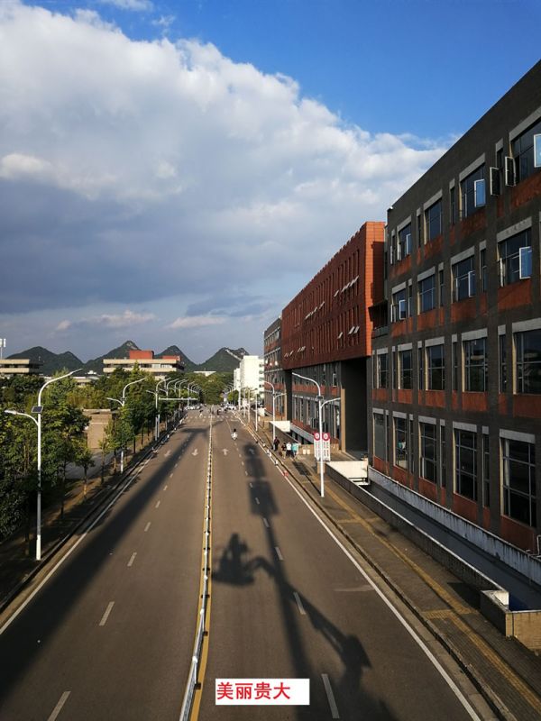 貴州某高校為本校區(qū)內(nèi)600多盞路燈更換LED燈頭及加裝太陽(yáng)能LORA調(diào)光控制模塊，達(dá)到了節(jié)能和智能控制的目的。